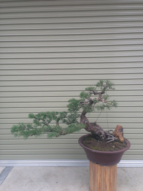 作品集・葉月園